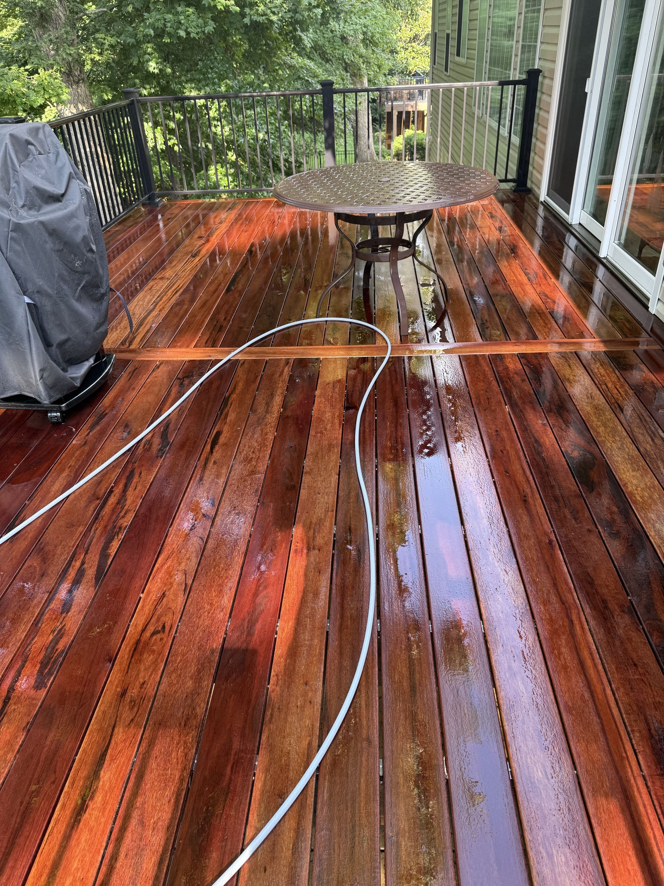 Freshly restored deck with rich, glossy stain